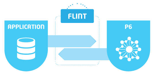Software oplossingen - Flint